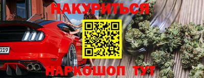 спайс Гагарин