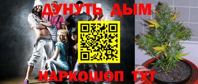MDMA Гатчина